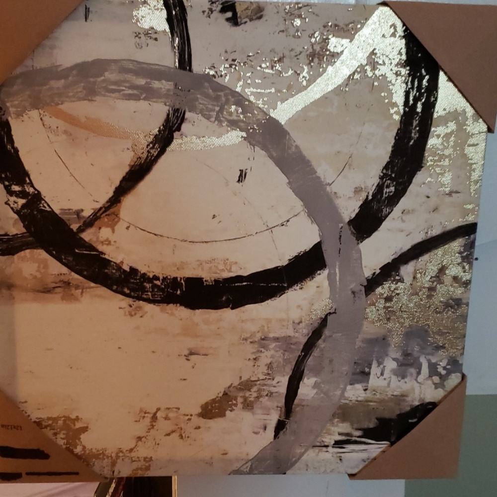 Circles Canvas Art